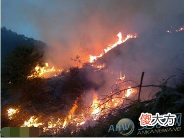 梦境解析-孕妇梦见大火烧山的预兆介绍(图文)