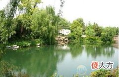 梦见池塘水满应该如何解读？从自身角度来看(图文)