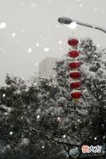 梦见大雪纷飞(图文)