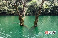 梦见水很深(图文)