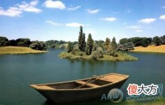 梦见地面有水(图文)