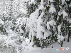 梦见下大雪(图文)