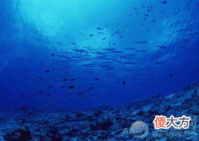 梦境解读-做梦梦到海(图文)