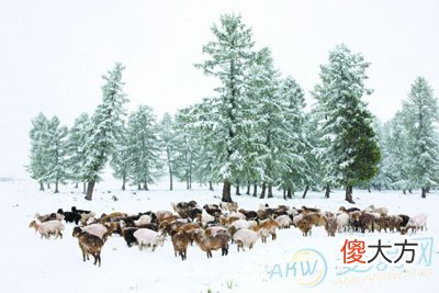 周公解梦梦见六月下雪的含义(图文)