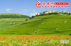 梦见山坡意味什么(图文)