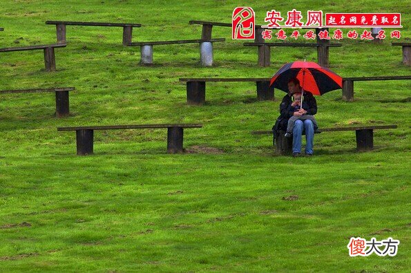 梦见山上下雨(图文)
