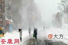 梦见暴风雪(图文)