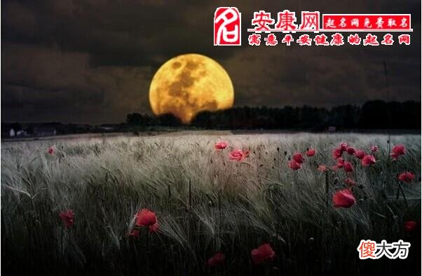 梦见月光明亮意味什么(图文)