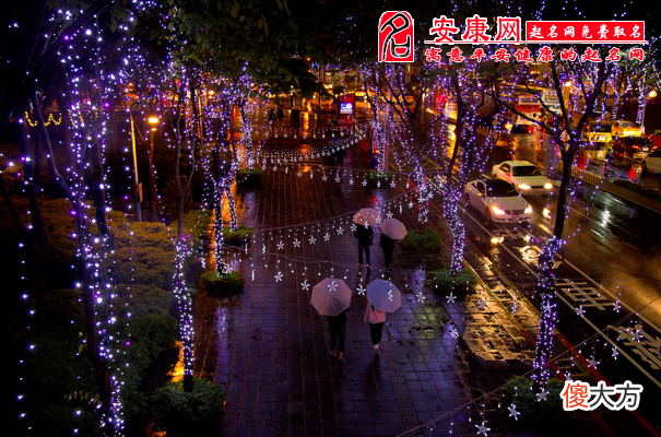 做梦梦见夜里下雨(图文)