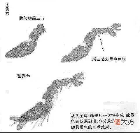 【就爱时尚】虾的画法教程，全部是精华