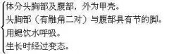 【就爱时尚】虾的画法教程，全部是精华