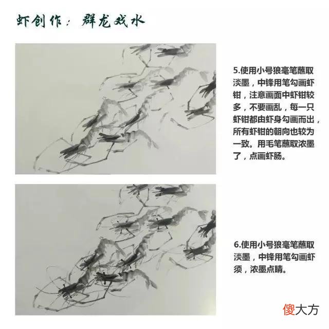【就爱时尚】虾的画法教程，全部是精华