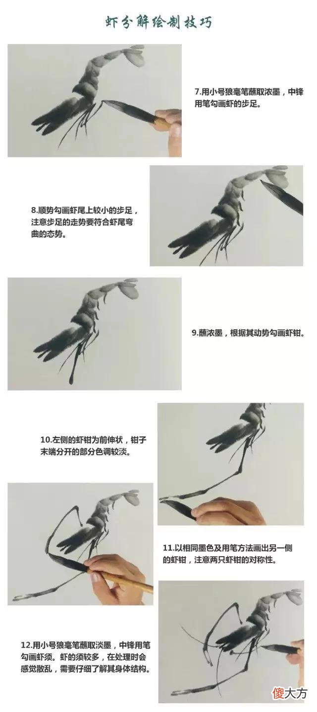 【就爱时尚】虾的画法教程，全部是精华