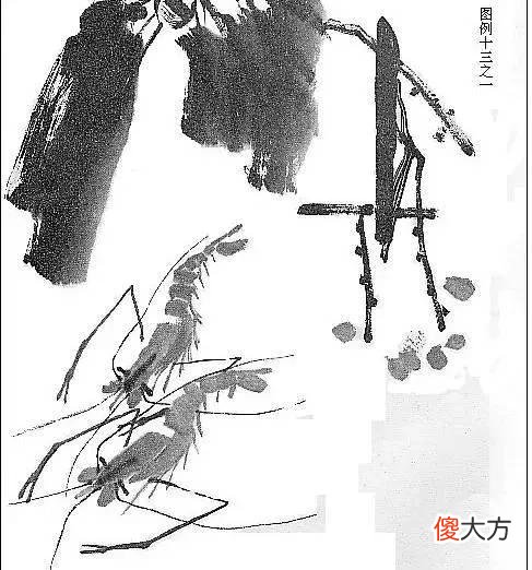 【就爱时尚】虾的画法教程，全部是精华