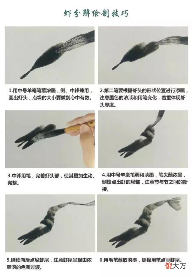 【就爱时尚】虾的画法教程，全部是精华