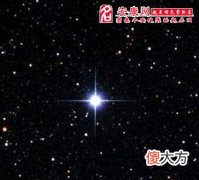 梦见一颗星闪烁发亮(图文)