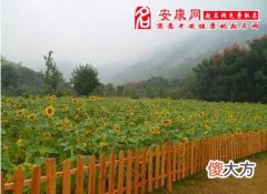 梦见阴天下雨(图文)