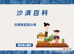 巴塔哥尼亚沙漠——南美洲阿根廷的沙漠