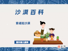 索诺拉沙漠——美丽而又浪漫的沙漠
