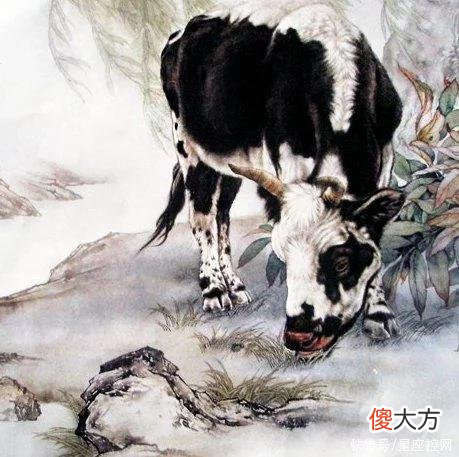 【星座控】12生肖中的谁，不鸣则已，一鸣惊人，下半年前程更远大