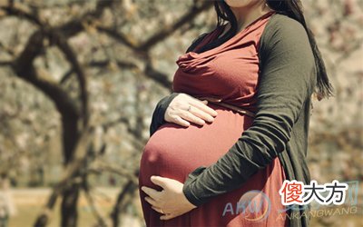 孕妇梦见杏子(图文)