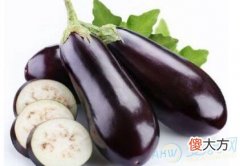孕妇梦见茄子(图文)