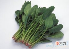 梦见菠菜(图文)