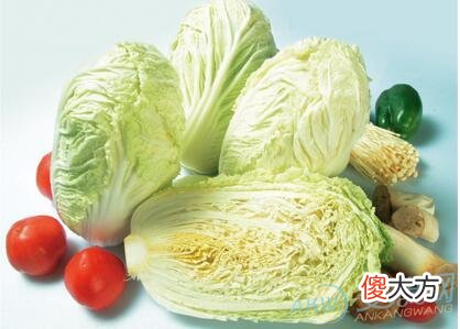 做梦梦见大白菜好不好(图文)