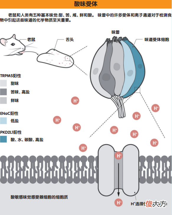 时间推移使我们的口味逐渐变化？