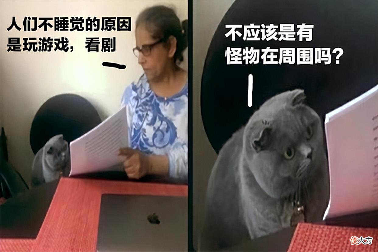 【游戏世界】我的世界：你为什么会失眠？MC玩家：附近有怪物在游荡！