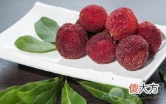 孕妇梦见杨梅(图文)