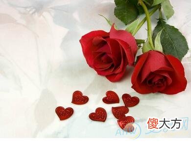 梦到红色玫瑰(图文)