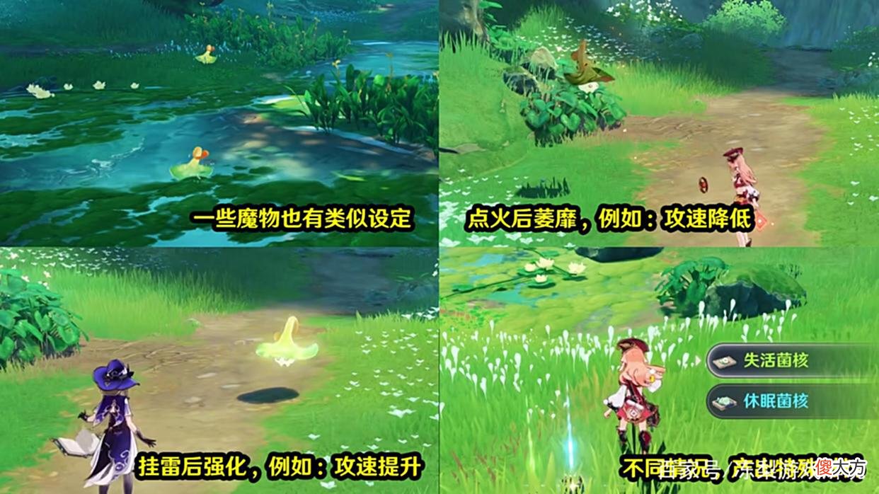 【游戏迷】原神：草元素三反应解读，草主技能曝光，须弥环境交互来了