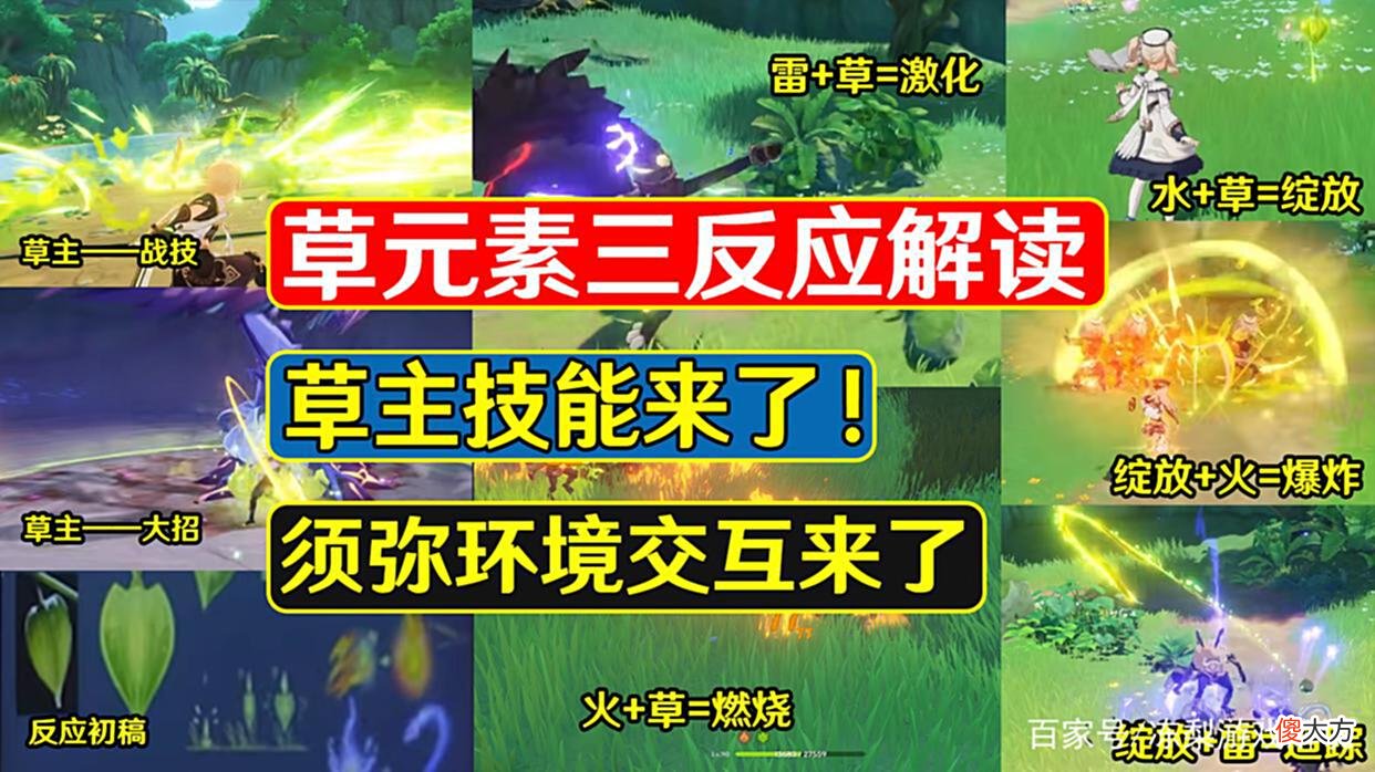 【游戏迷】原神：草元素三反应解读，草主技能曝光，须弥环境交互来了