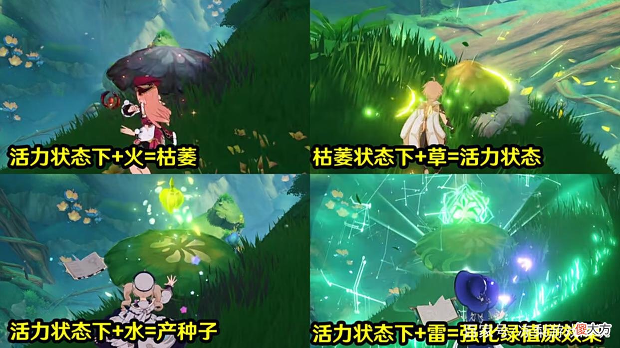 【游戏迷】原神：草元素三反应解读，草主技能曝光，须弥环境交互来了