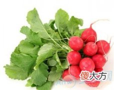 孕妇梦见水萝卜的正确解读方式(图文)