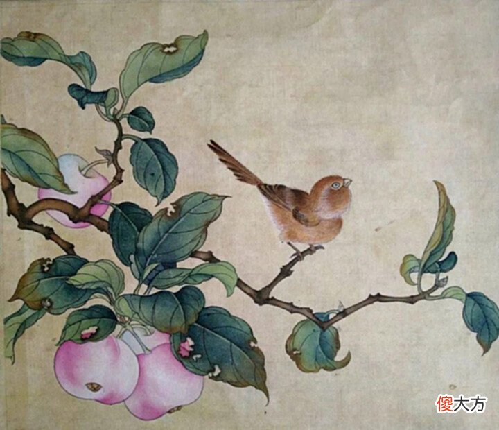 【爱历史】古代的苹果可不叫“苹果”，古人取的名字很唯美，日本沿用至今