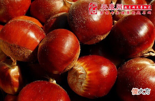 梦见毛栗子(图文)