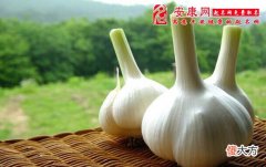 做梦梦见大蒜(图文)