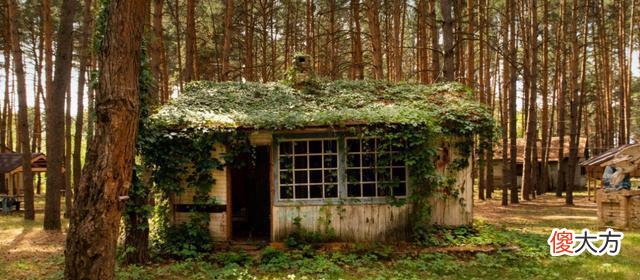 【十二星座】7天后,旧情人回头,向你奔来,3星座不再退避,再结琴瑟之好