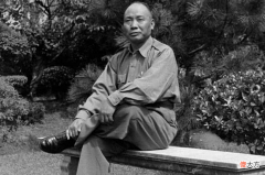 【爱历史】豫南会战中，汤恩伯率部奋战，竟取得了歼敌九千余人的成绩