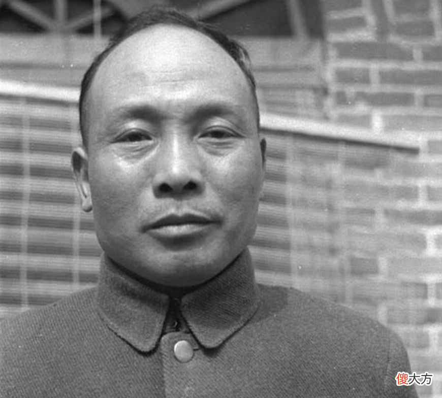 【爱历史】豫南会战中，汤恩伯率部奋战，竟取得了歼敌九千余人的成绩