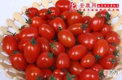 梦见柿子红了意味什么(图文)