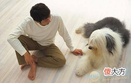 做梦梦见男人变成狗好不好？注意梦境变化(图文)