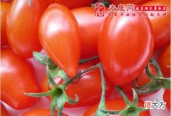 梦见柿子意味什么(图文)