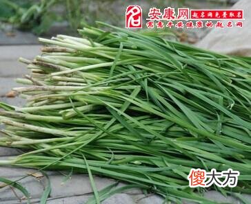 梦见一堆韭菜(图文)
