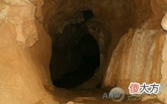 做梦梦见兽穴好不好(图文)