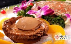 梦见鲍鱼(图文)