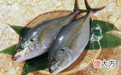 孕妇梦见买鱼(图文)