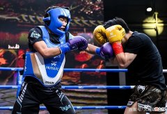 【游戏迷】大锤真男人！拳赛不戴护具暴打鲶鱼，国宝全程挨打太丢人